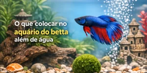 Peixe betta azul e vermelho nadando em aquário decorado com plantas e castelo.