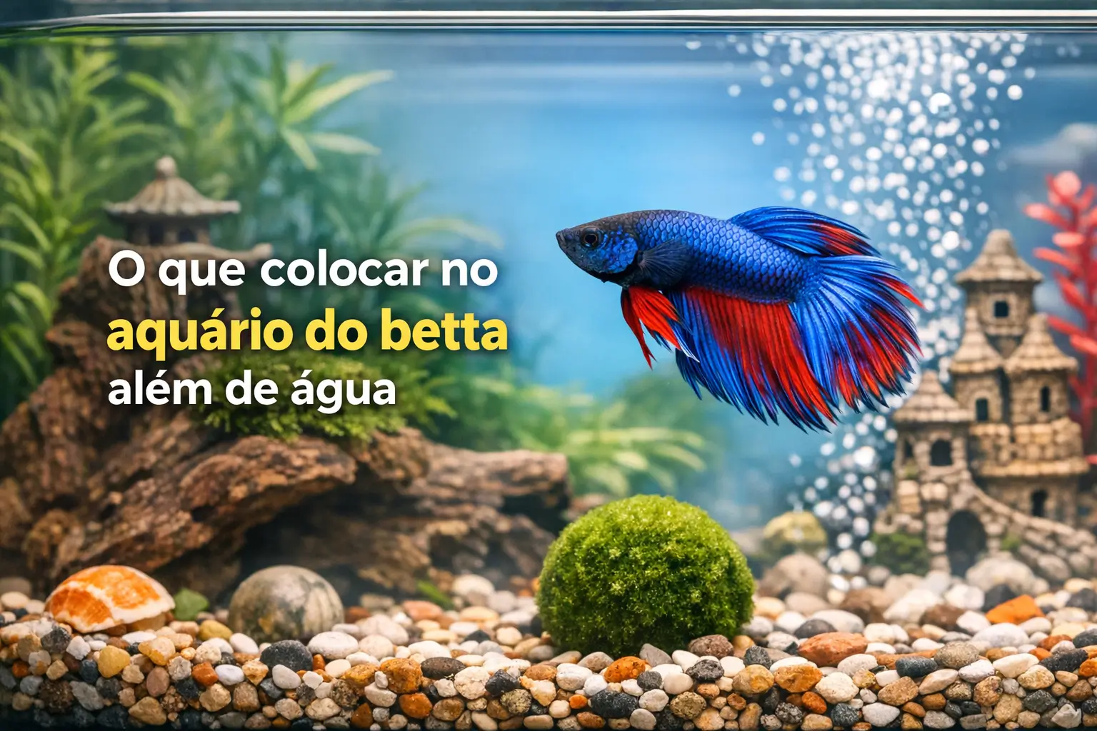 Peixe betta azul e vermelho nadando em aquário decorado com plantas e castelo.