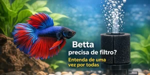 Betta com nadadeiras azuis e vermelhas em aquário com filtro e plantas