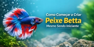 Peixe betta azul com nadadeiras vermelhas e brancas em aquário natural