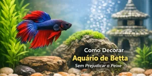 Betta vermelho e azul nadando em aquário decorado com plantas e pedras.
