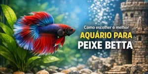 Peixe Betta vermelho, azul e branco em aquário com plantas e castelo decorativo