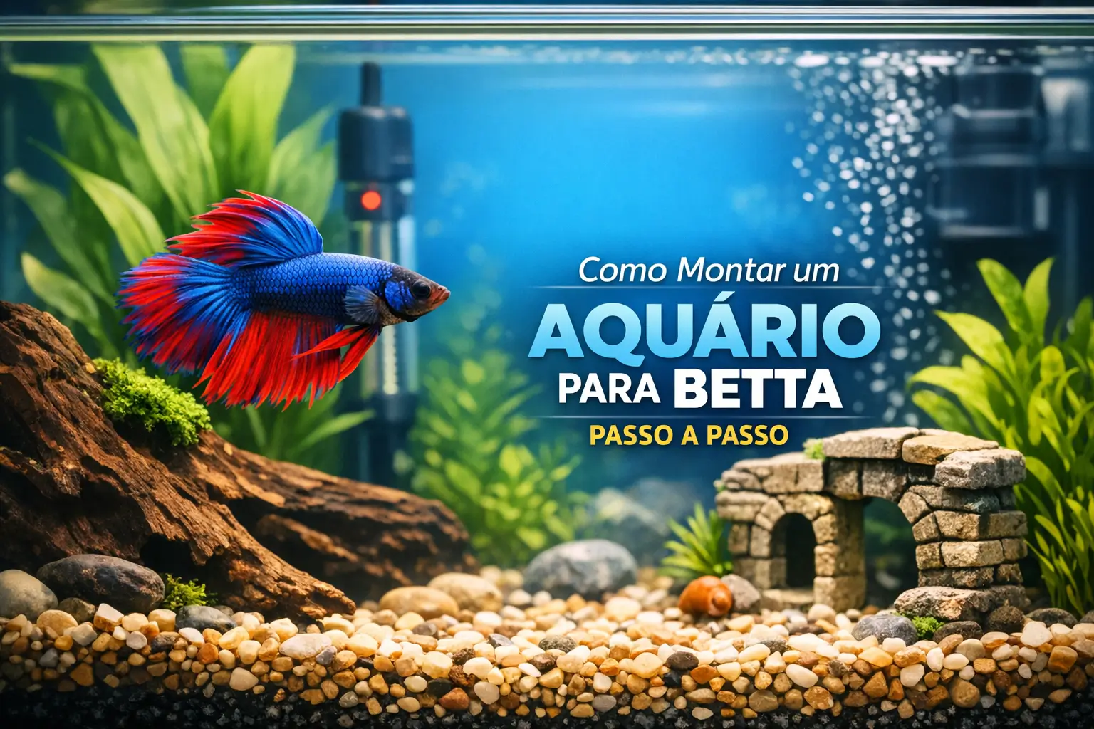 Betta com nadadeiras azuis e vermelhas, aquário decorado com plantas e pedra
