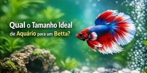 Peixe Betta colorido em aquário com plantas e pergunta sobre tamanho ideal.