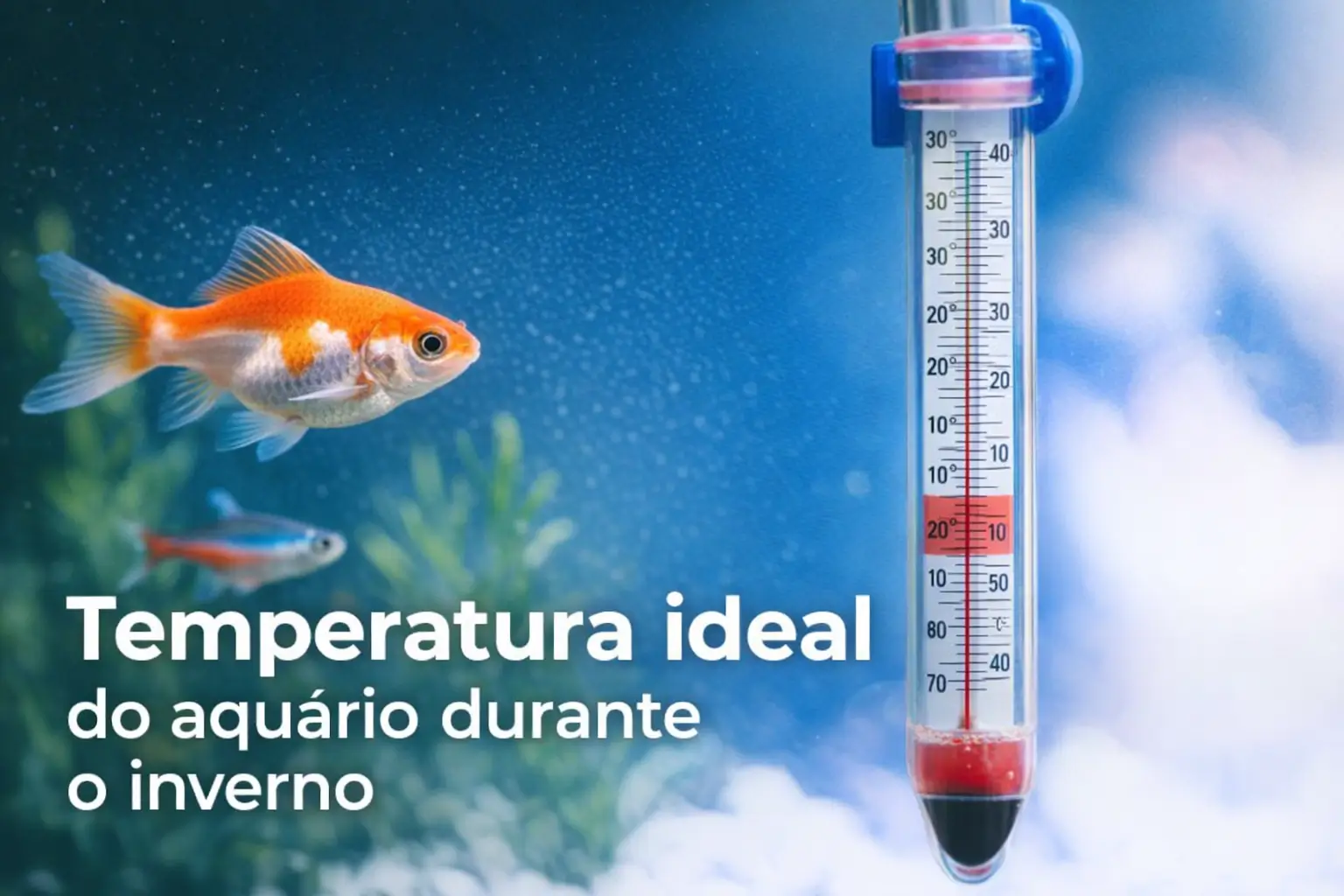 Aquário com peixe dourado e termômetro medindo temperatura.